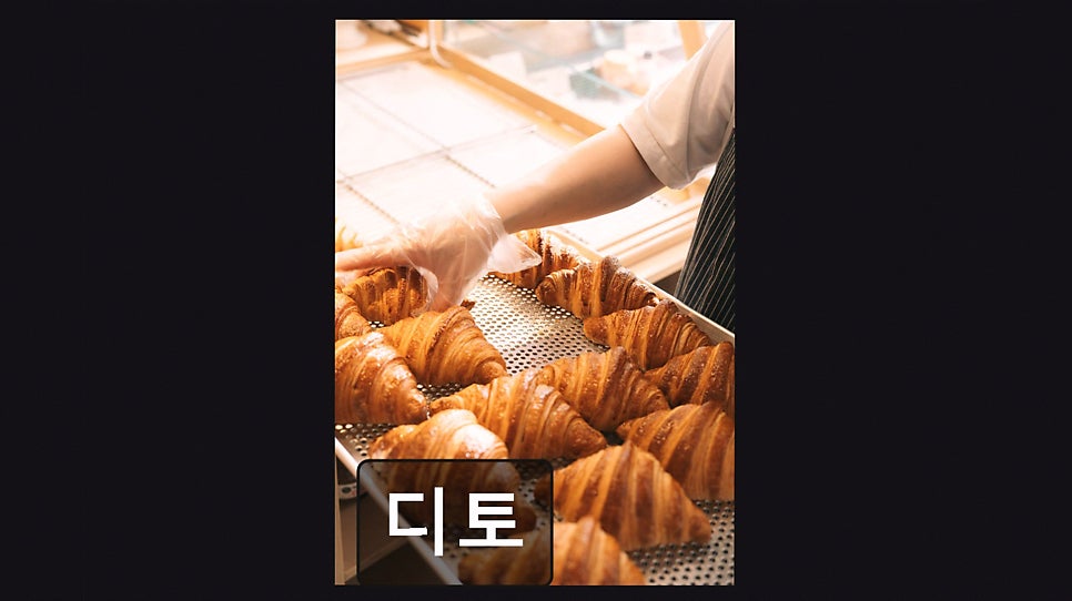 디토 사진 5