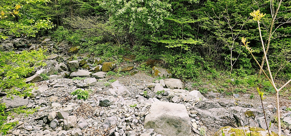 백병산 사진 5