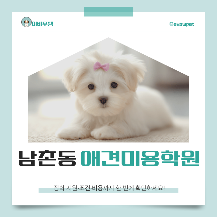  남촌동애견미용학원, 처음부터 제대로 고르는 방법