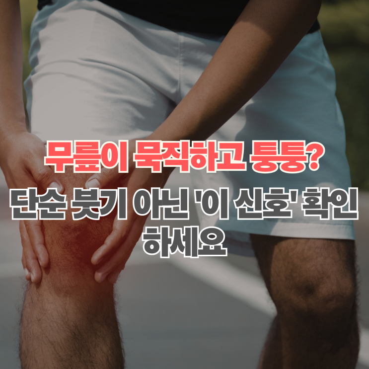  "무릎에 물 찰 때 증상 5가지, 붓고 뻣뻣하다면? 관절삼출 원인과 대처법"