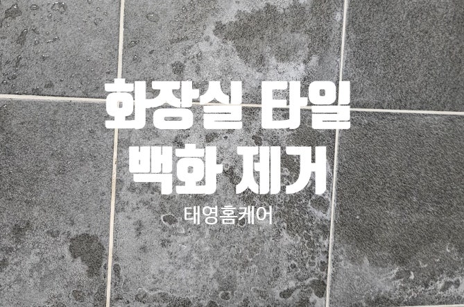 일산 화장실 타일 백화 제거 방법은 이렇게 해결