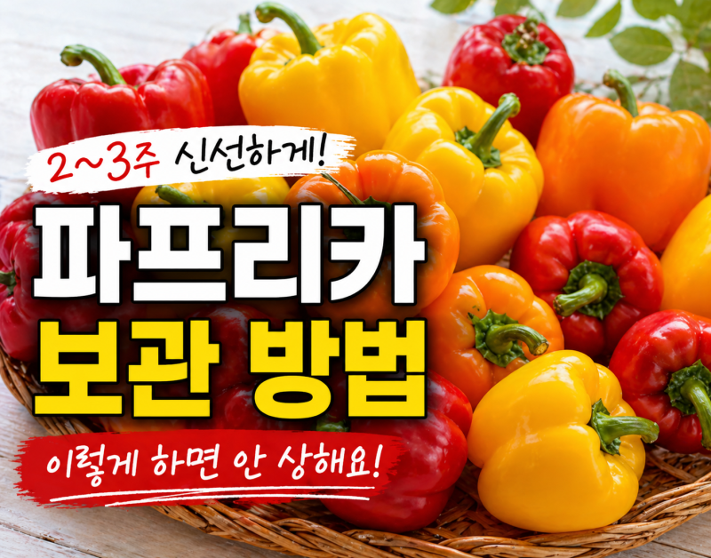파프리카 보관법 제대로 하면 2~3주 유지｜냉장보관 꿀팁 총정리