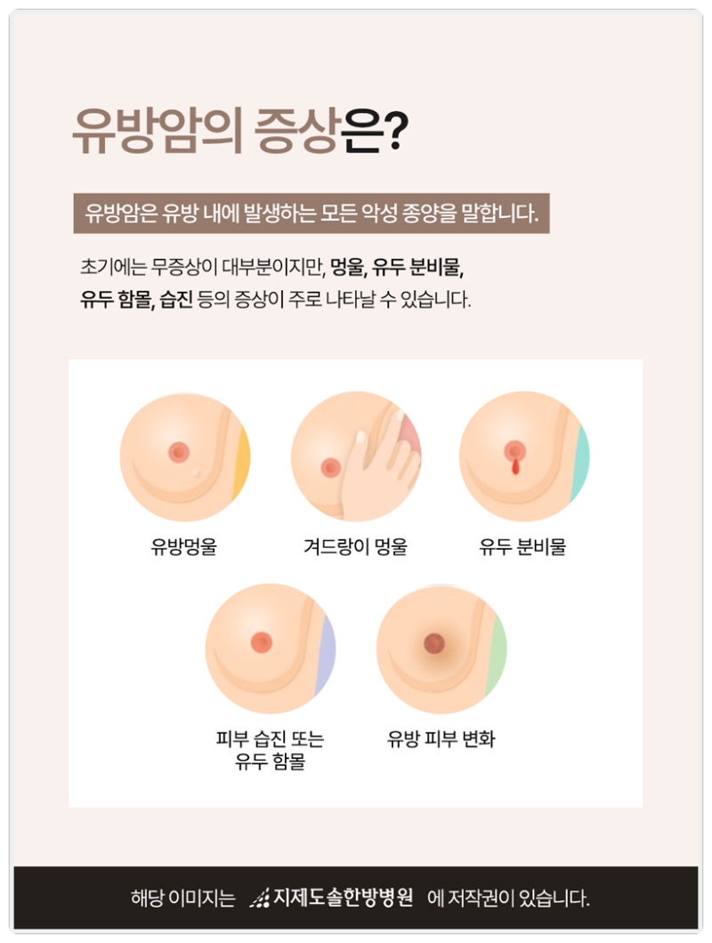 사진 5