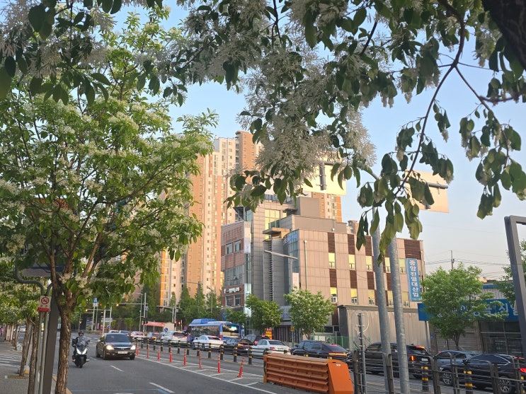  "집 있으면 전세 못 산다고?" 전세대출 막히면 당장 벌어지는 일