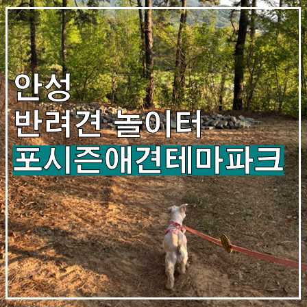 포시즌애견테마파크