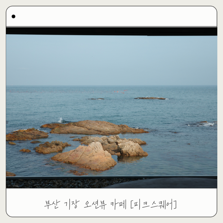  [피크스퀘어] 아기랑 기장 오션뷰 카페 내돈내산 솔직후기