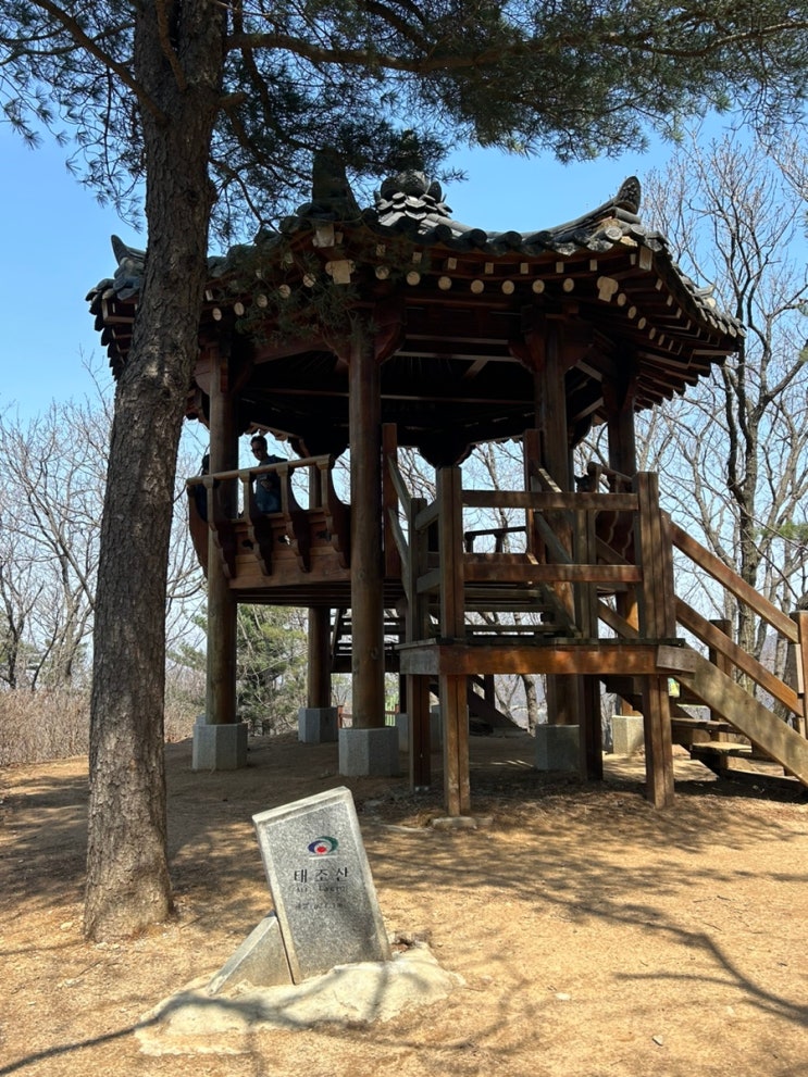  등산/나들이/산림레포츠 모두 즐길 수 있는 [천안 태조산 공원]