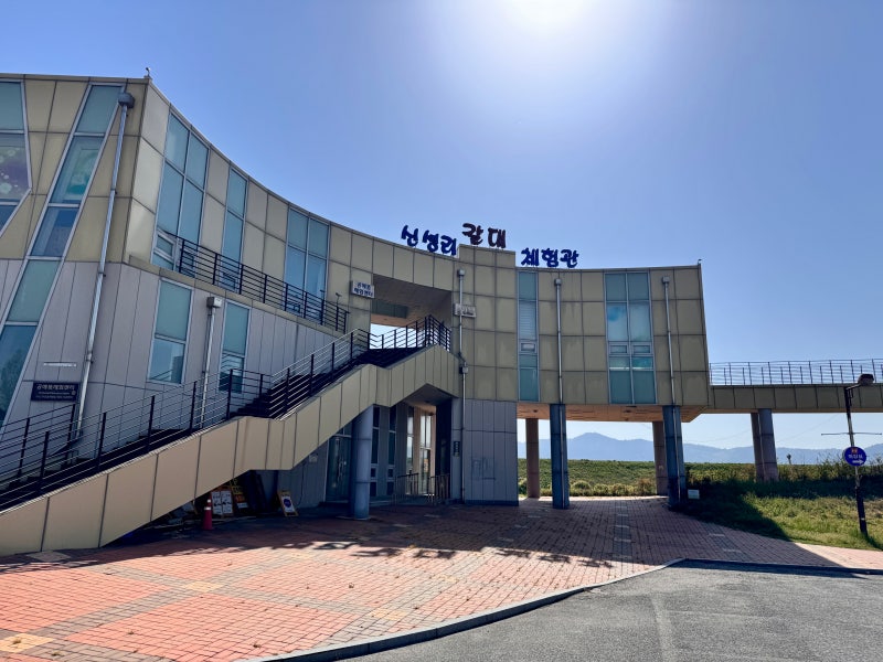 사진 8