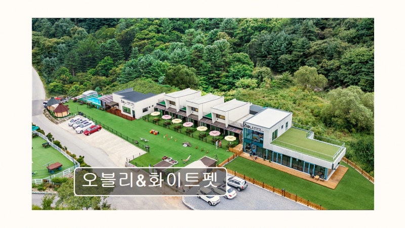 오블리&화이트펫