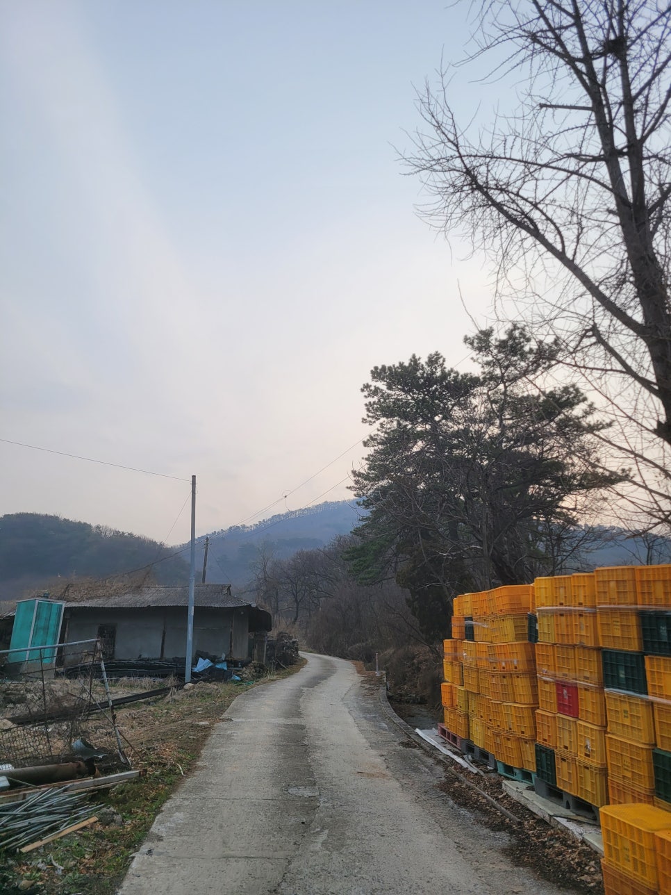 묵봉산 사진 5
