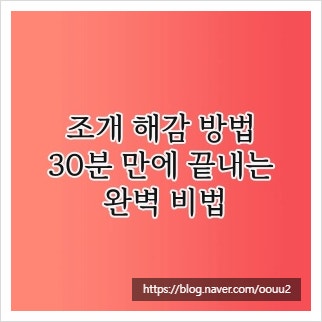 조개 해감 방법, 30분 만에 끝내는 완벽 비법