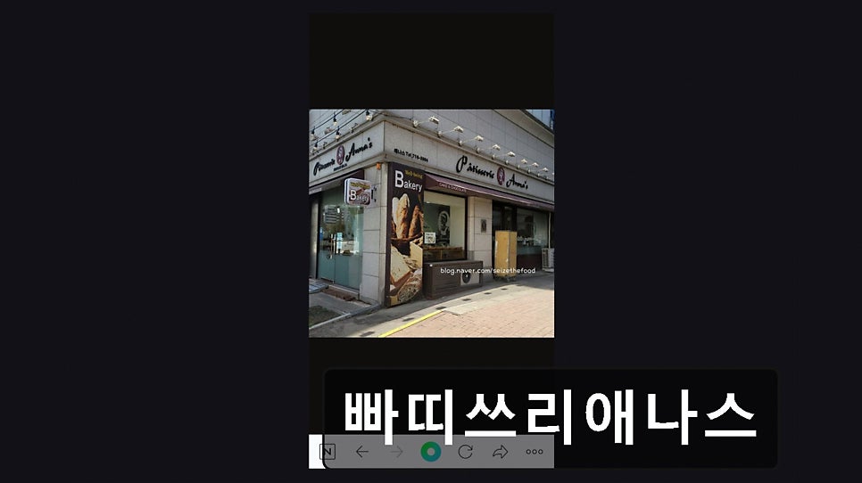 애나스 사진 6