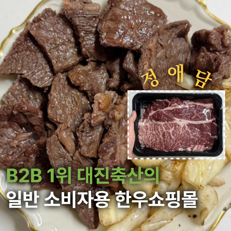  한우쇼핑몰 B2B 납품 기업이 유통 마진 빼고 직접 파는 정애담 1+한우등심 직접 먹어본 후기