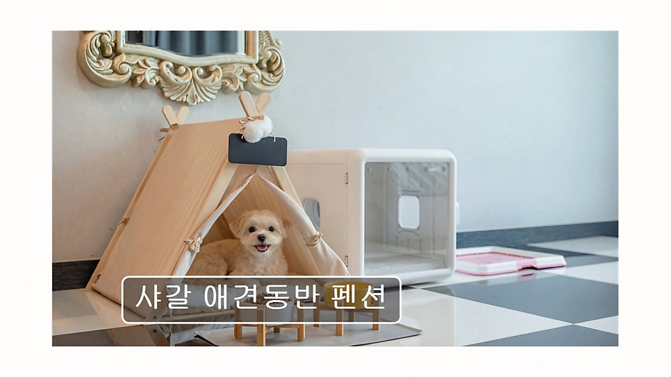 샤갈스파펜션 사진 3