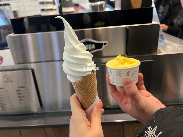 코엑스 아이스크림 맛집 세띠엠므 망고젤라또 & 소프트콘