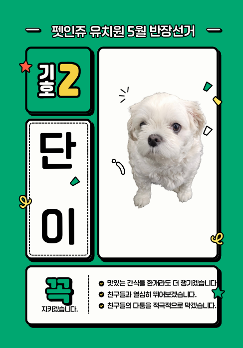 사진 5