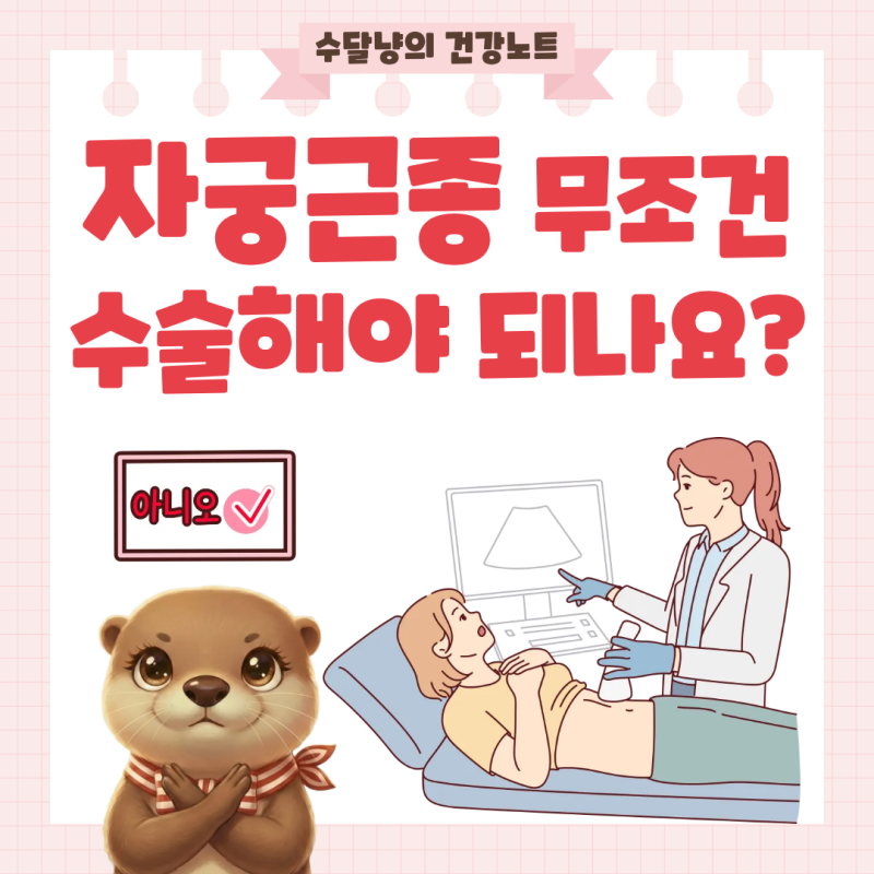자궁근종 무조건 수술해야 할까? 하이푸 시술 비용 알아보기