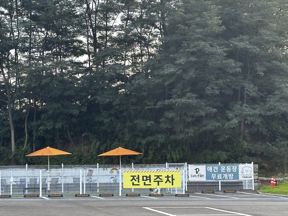 투웰브 사진 3