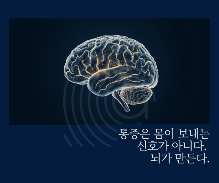  라벤더가 통증을 줄이는 진짜 이유, 뇌과학 책에서 찾았다 - <고통의 비밀> 책 리뷰