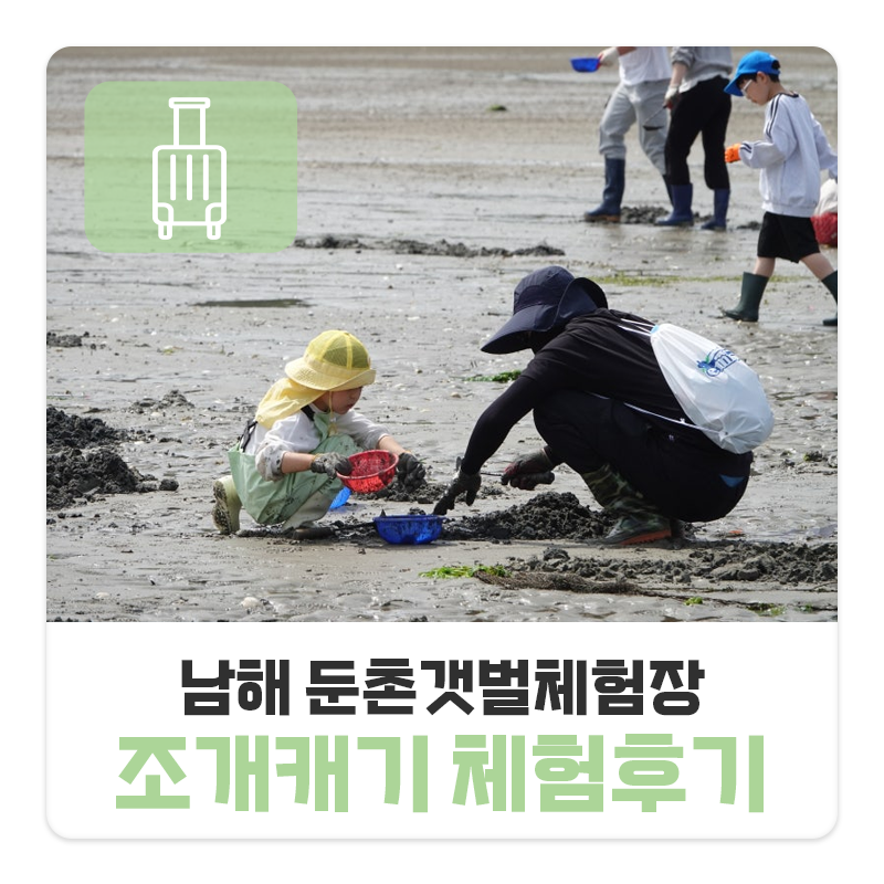 남해 둔촌갯벌체험장 조개 캐기 후기