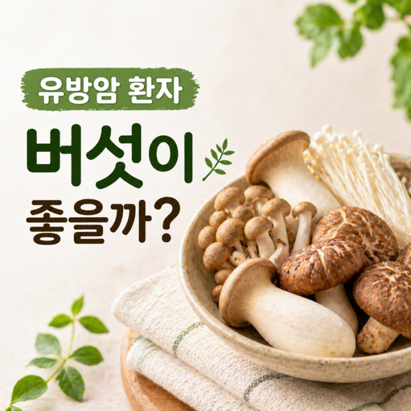 버섯이 유방암에 좋을까? 저는 요리에 정말 많이 넣어요