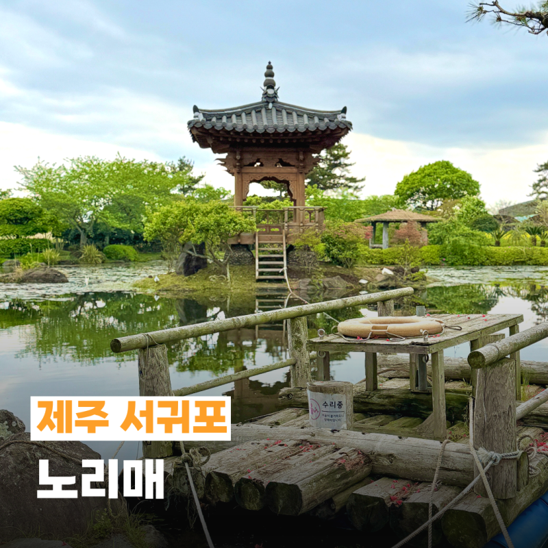 사진 6