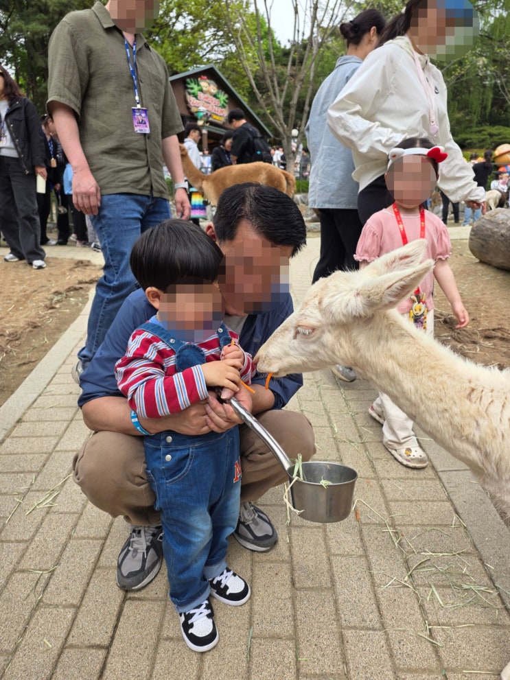  대구여행 추천 이월드 주주팜, 동물원, 버드파크, 알파카 농장