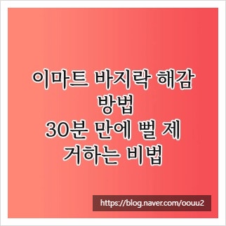 이마트 바지락 해감 방법, 30분 만에 뻘 제거하는 비법