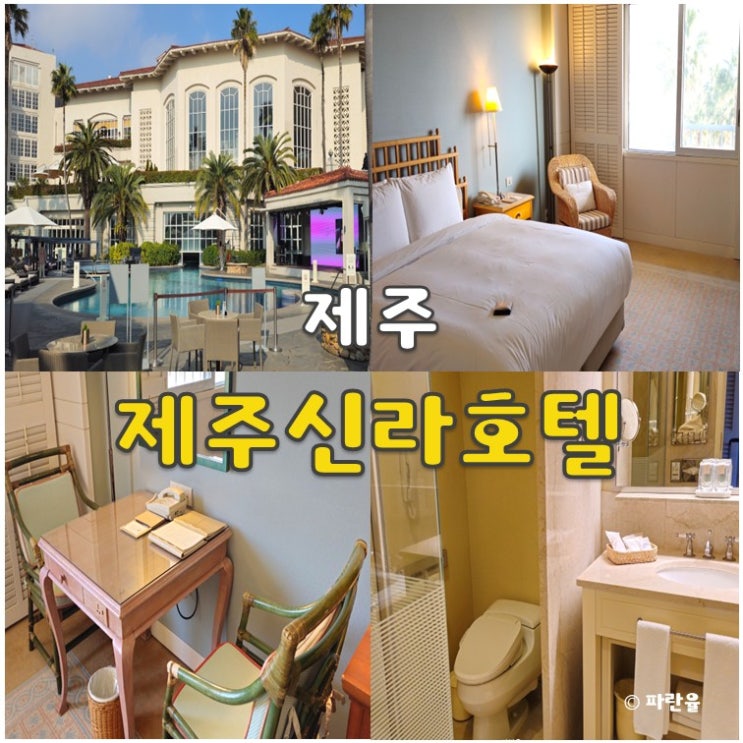  제주 신라호텔 디럭스 더블룸 예약 및 솔직 후기 숙소 추천
