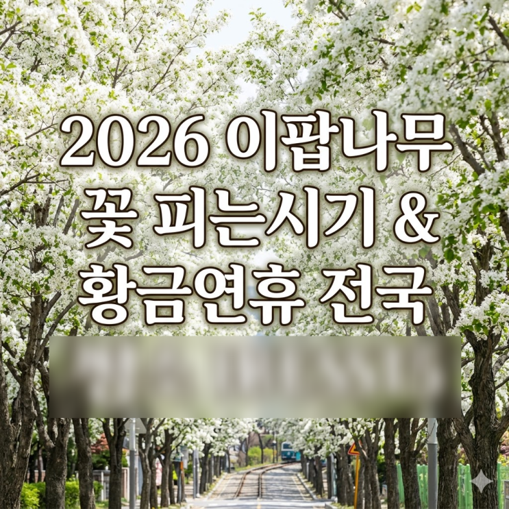  이팝나무 꽃 피는시기 단 2주, 2026 개화시기와 황금연휴 전국 명소 BEST5