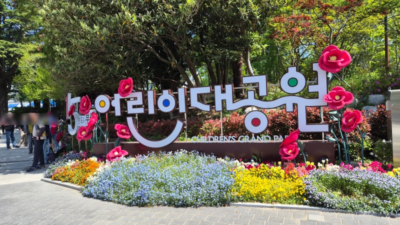 사진 5