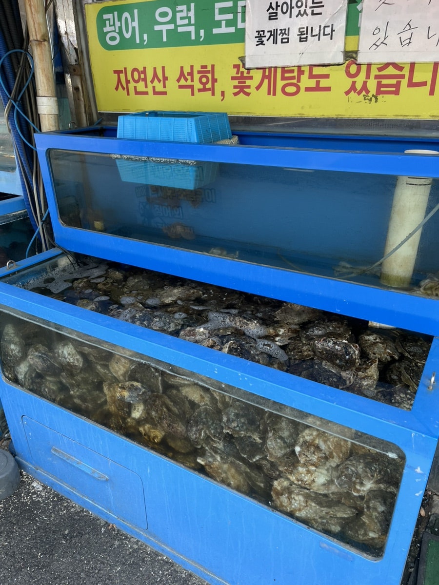 싱싱횟집 사진 5