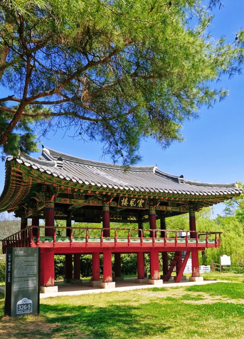 사진 5