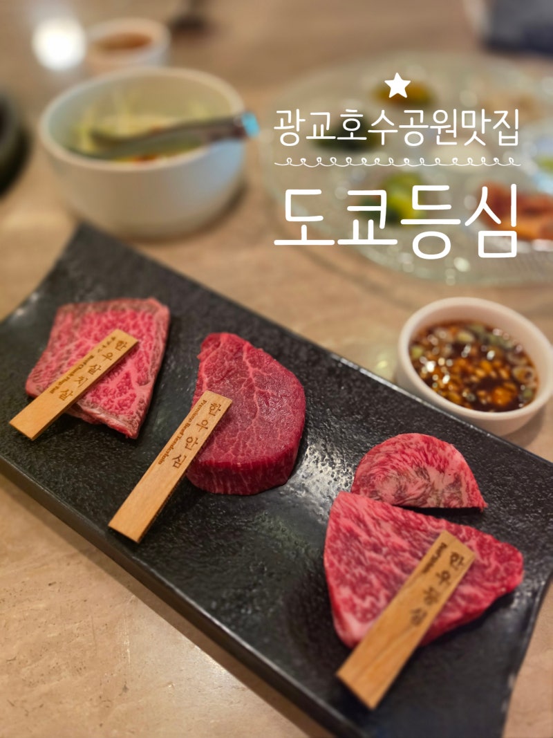 사진 9