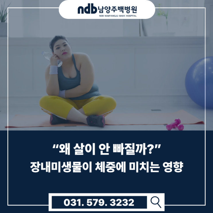  남양주 진접 내과｜비만은 의지 문제가 아닙니다, 장내미생물로 시작하는 감량