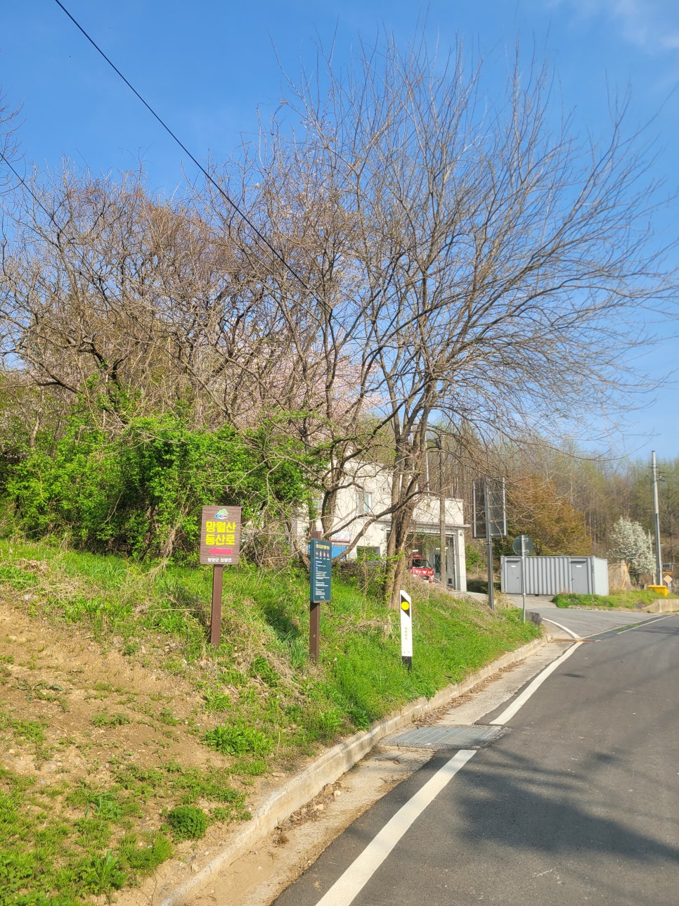 망월산 사진 4