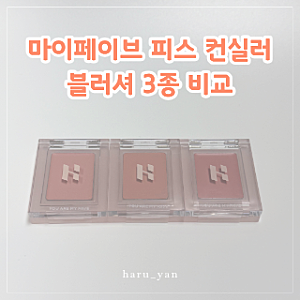 홀리카홀리카 마이페이브 피스 컨실러 블러셔 3종 발색 비교 후기
