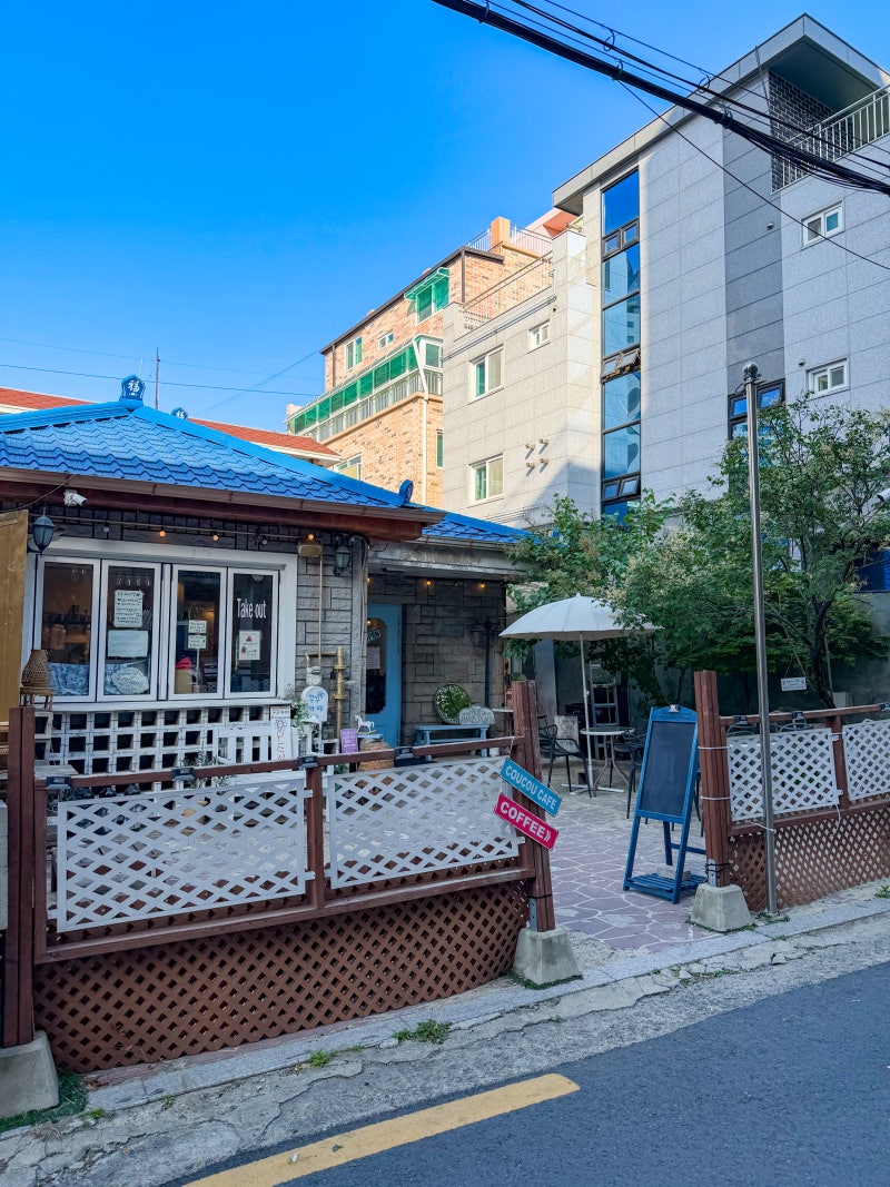 사진 5