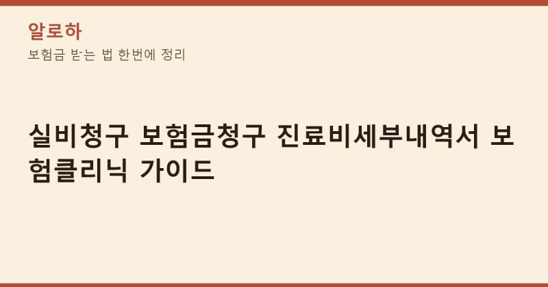 실비청구 진료비세부내역서 보험클리닉 활용해 보험금 받는 법 한번에 정리
