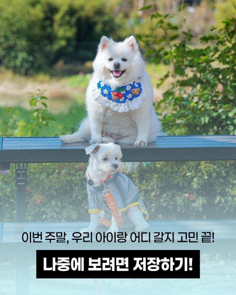 사진 6