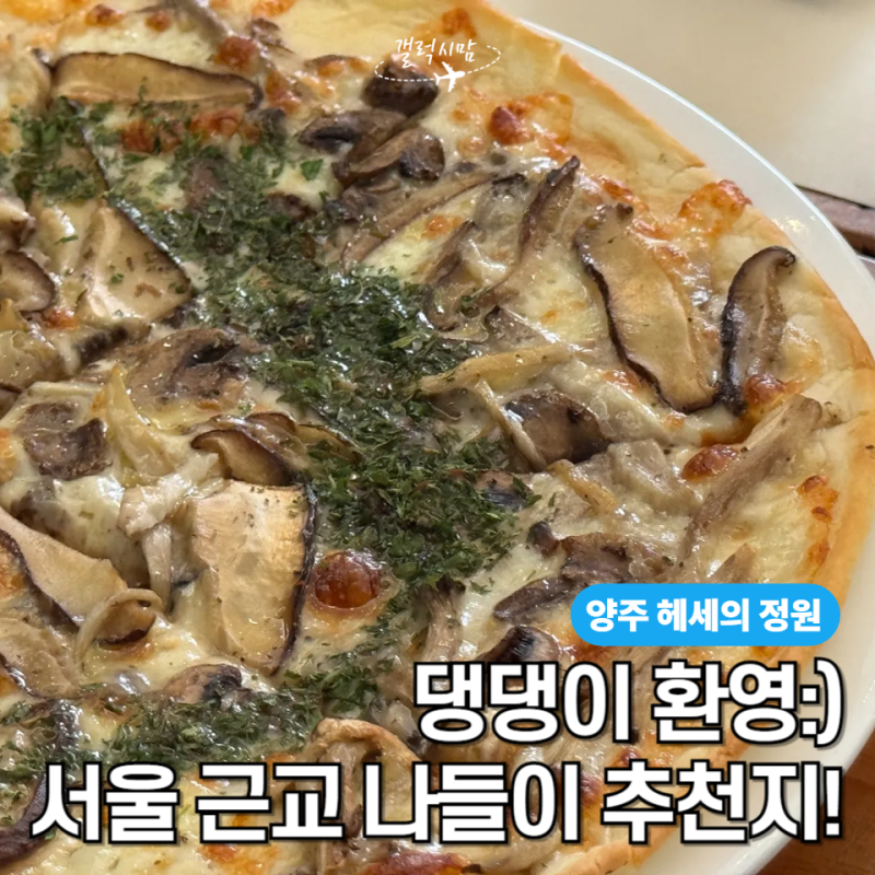 서울 근교 애견 동반 가능! 양주 헤세의 정원, 레스토랑 헤세, 추천 메뉴 3가지