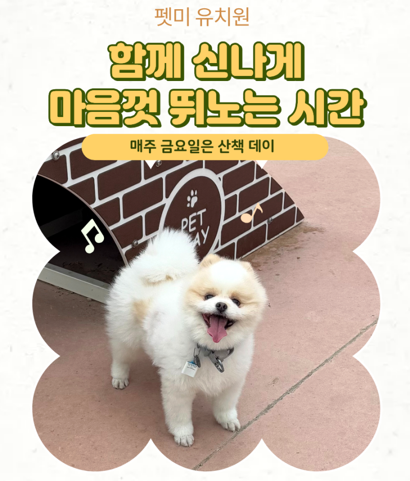 사진 2