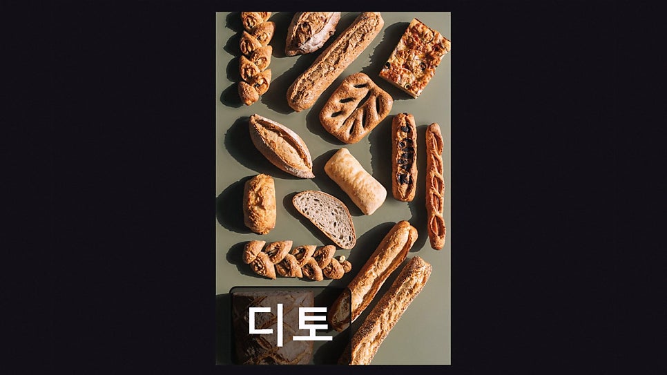 디토 사진 4