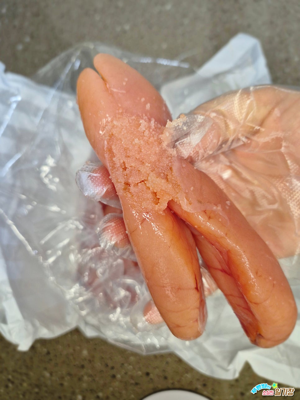 메르시마마 사진 6