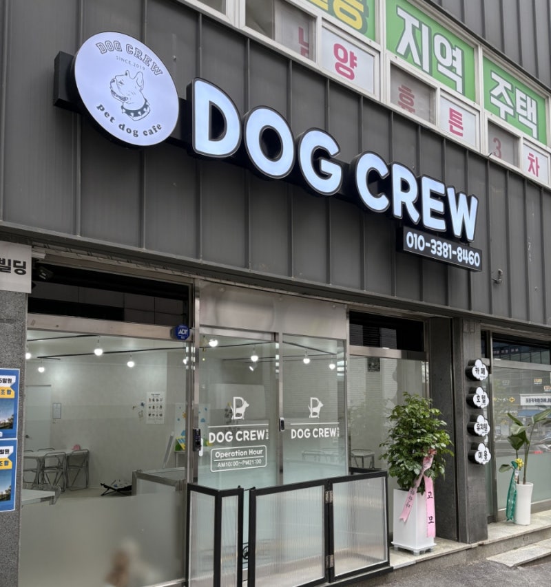 독크루 남구점