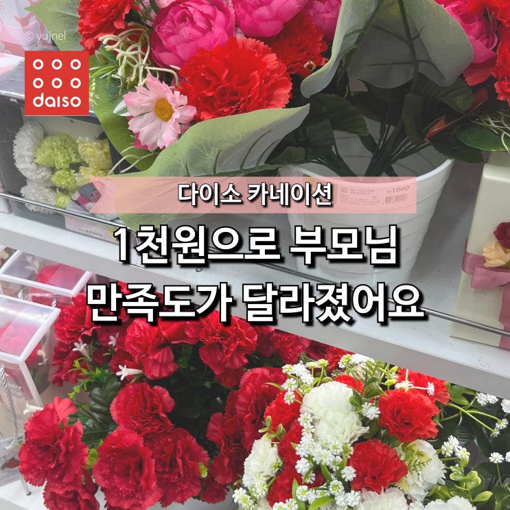  "어버이날 이걸로도 충분합니다" 다이소 카네이션 품절 전 구매가 중요합니다