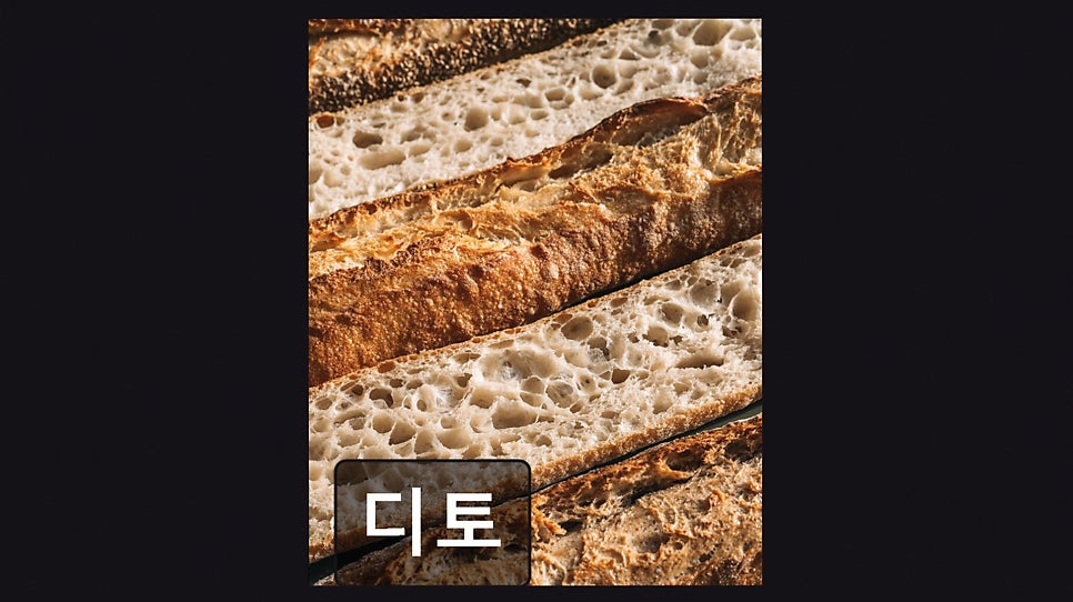 디토 사진 1