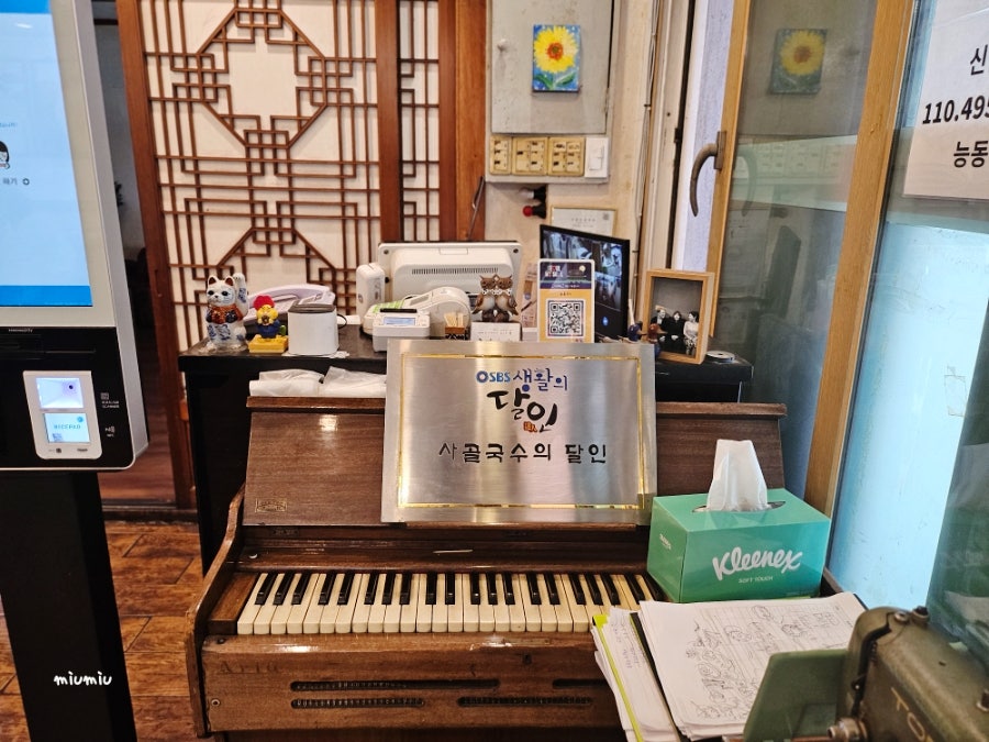 능동국시 사진 4