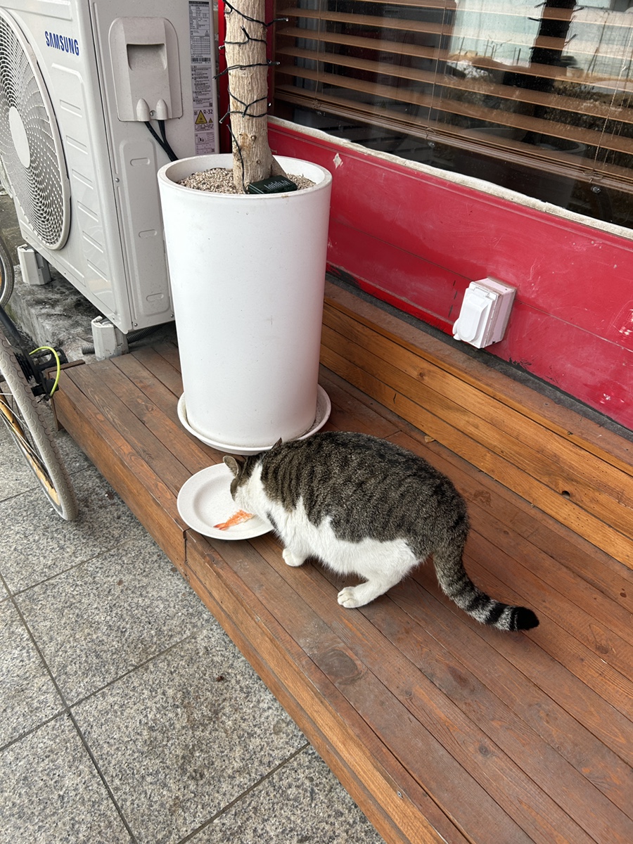오가네초밥 사진 5