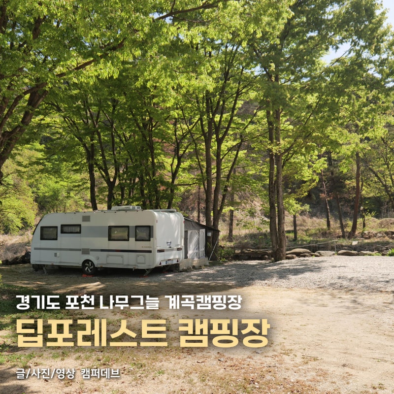 사진 5